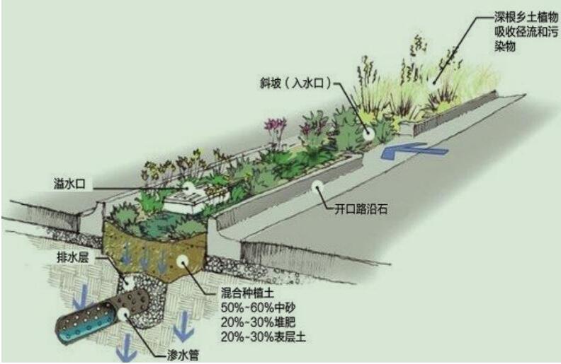 雨水收集系統(tǒng)