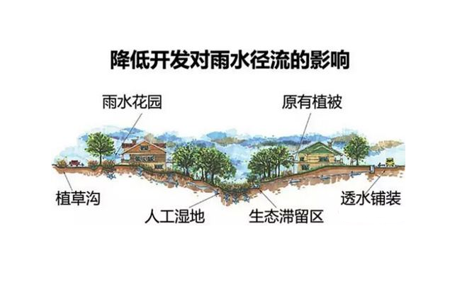 1604642132442464.png 1.png
