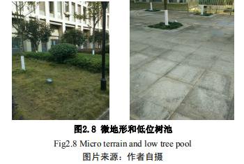 1605677655115140.jpg 3.jpg