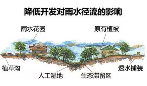 雨水收集系統(tǒng) 雨水收集系統(tǒng)